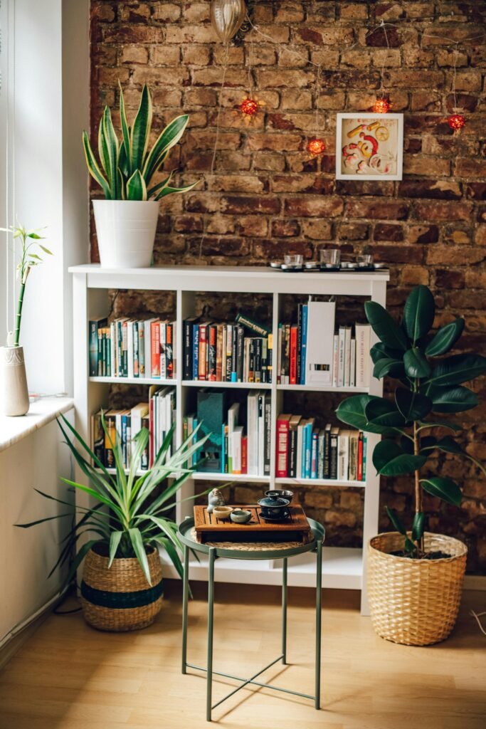 Bookshelves Ideas